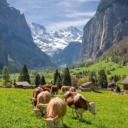 فندق Casa Do Lago *