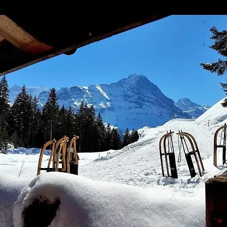 Casa Do Lago فندق ليسيغن