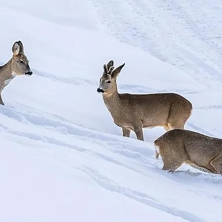 Casa Do Lago فندق *