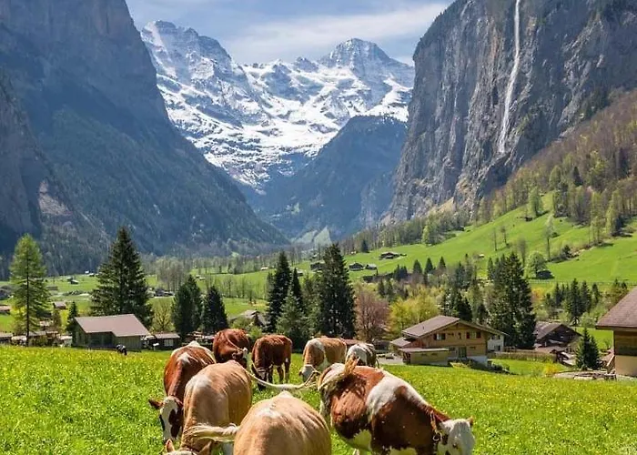 酒店 Casa Do Lago *