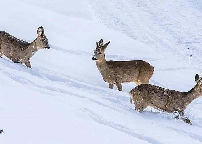 Casa Do Lago 酒店 *